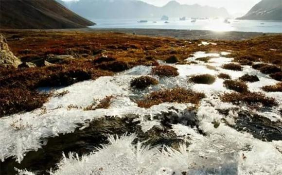 Từ năm 2004 đến năm 2009, tốc độ tan chảy của băng biển Bắc Cực ngày càng tăng. Các nhà khoa học phân tích rằng băng biển tan chảy đã buộc một số loài động vật biển phải thay đổi lộ trình di cư, điều này làm tăng nguy cơ lây nhiễm và lây truyền do tiếp xúc. Ảnh: Baidou