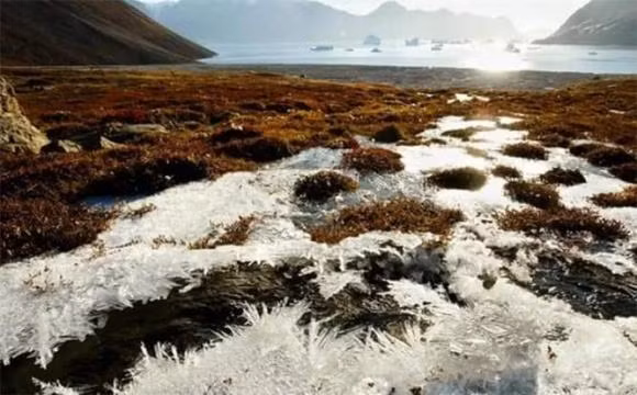 Từ năm 2004 đến năm 2009, tốc độ tan chảy của băng biển Bắc Cực ngày càng tăng. Các nhà khoa học phân tích rằng băng biển tan chảy đã buộc một số loài động vật biển phải thay đổi lộ trình di cư, điều này làm tăng nguy cơ lây nhiễm và lây truyền do tiếp xúc. Ảnh: Baidou