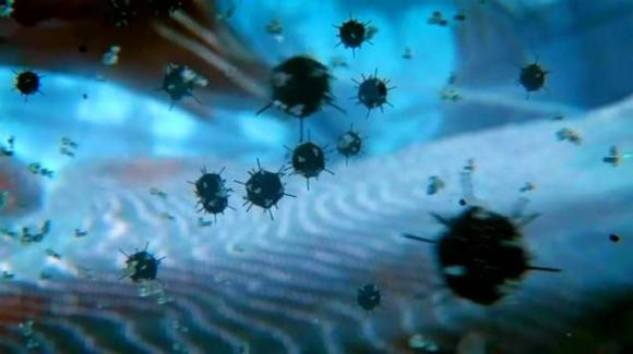 Thuật ngữ “virus cổ chưa biết” nghe có vẻ đáng sợ, kết hợp với những vấn đề hiện tại mà thế giới đang phải đối mặt và xu hướng nóng lên toàn cầu, người ta lo lắng liệu virus cổ có xuất hiện trở lại hay không?. Ảnh: RENS 