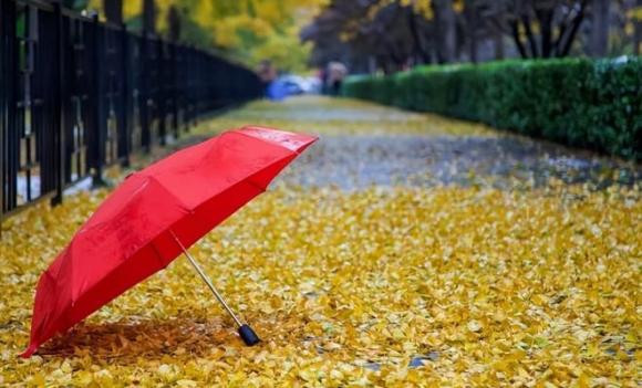 Họ thường nịnh bợ cấp trên, kiêu ngạo với cấp dưới, lời nói thể hiện sự khinh thường và độc ác. Những người này, chỉ biết đến mình, tin tưởng vào triết lý cực đoan "thà phụ cả thế giới còn hơn để thế giới phụ mình".