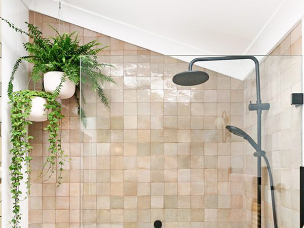 Cây dương xỉ là loại cây có khả năng hút khí độc, làm sạch không khí rất tốt, chúng còn giúp phòng sạch và thoáng khí hơn; đặc biệt đối với những nơi có nhiều độ ẩm như phòng tắm.