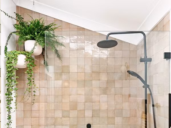 Cây dương xỉ là loại cây có khả năng hút khí độc, làm sạch không khí rất tốt, chúng còn giúp phòng sạch và thoáng khí hơn; đặc biệt đối với những nơi có nhiều độ ẩm như phòng tắm.