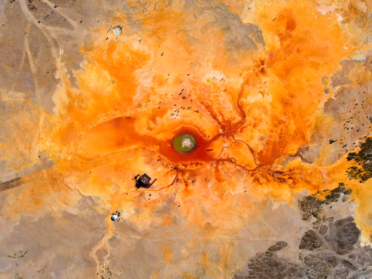 'Mat quy' dep rung ron giua sa mac, khong mot bong chim dam luon gan