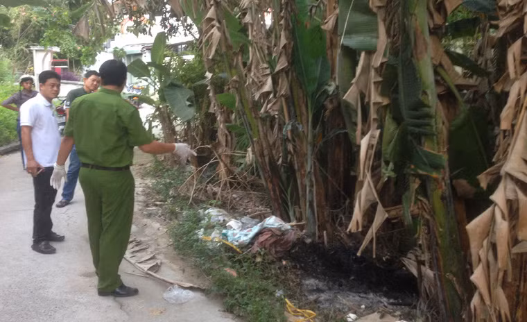 ...là vườn chuối rậm rạp nơi hung thủ vứt xác nạn nhân và phóng hỏa thiêu xác để cơ quan công an khám nghiệm, điều tra.