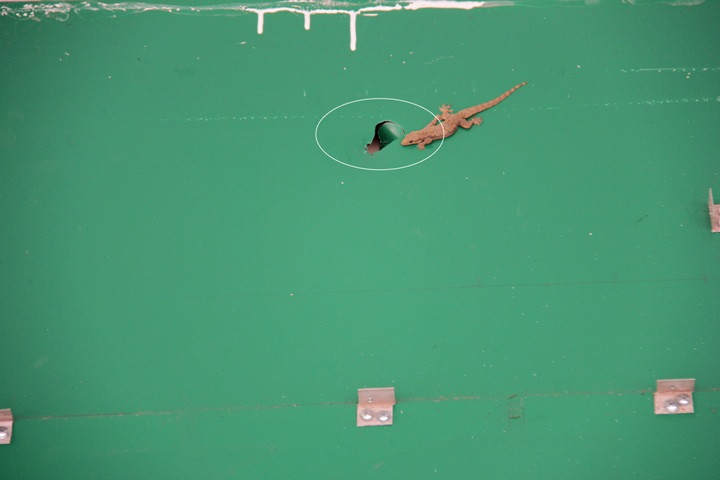 May mắn vì viên đạn bay lên cao xuyên thủng bảng quảng cáo (vòng tròn trắng) của một cửa hàng ven đường và sau đó đã được CQĐT tìm thấy đầu đạn.