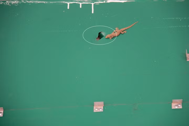 May mắn vì viên đạn bay lên cao xuyên thủng bảng quảng cáo (vòng tròn trắng) của một cửa hàng ven đường và sau đó đã được CQĐT tìm thấy đầu đạn.