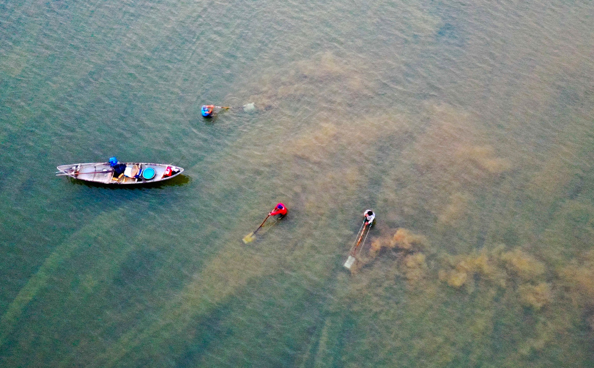 Vào mùa cạn tháng 3-6, người dân nơi đây lội ra các cồn cát vùng hạ lưu sông Trà Khúc để cào don, bắt hến mưu sinh.