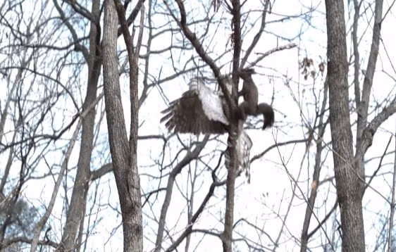 Video: Ngo ngang pha san moi tuyet dinh cua dieu hau