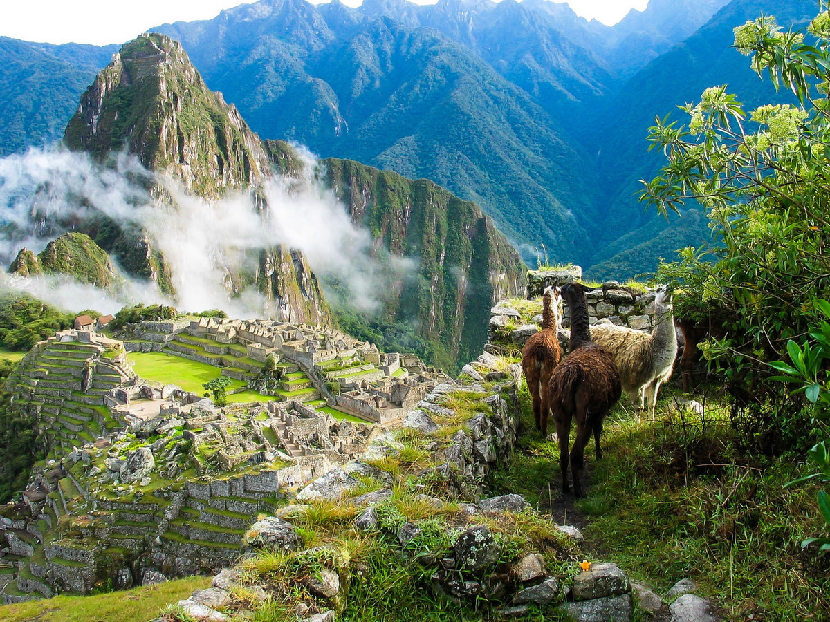 Sau khi đế chế Inca bị người Tây Ban Nha xóa sổ, Machu Picchu rơi vào quên lãng do vị trí hẻo lánh và thảm thực vật của rừng mây mù châu Mỹ bao phủ. Ảnh: 9News.