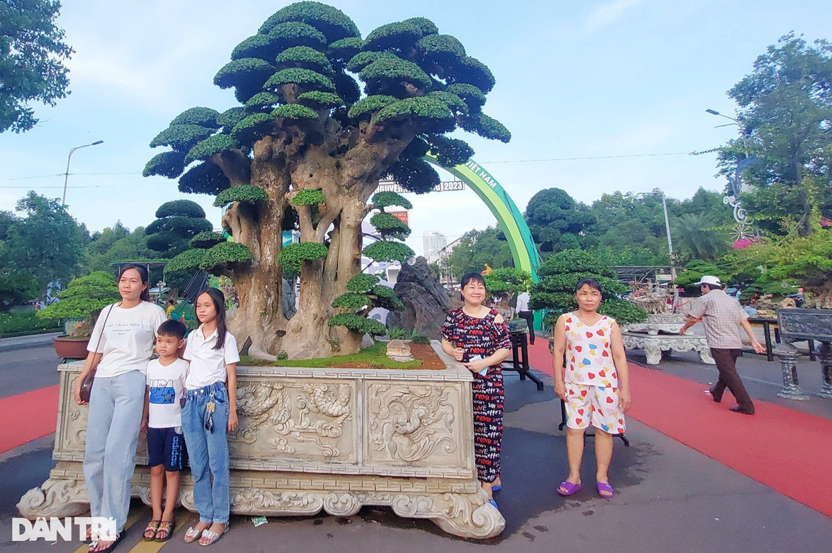 Cay duoi duoc tra gia ca chuc ty dong, chu chua ban-Hinh-2