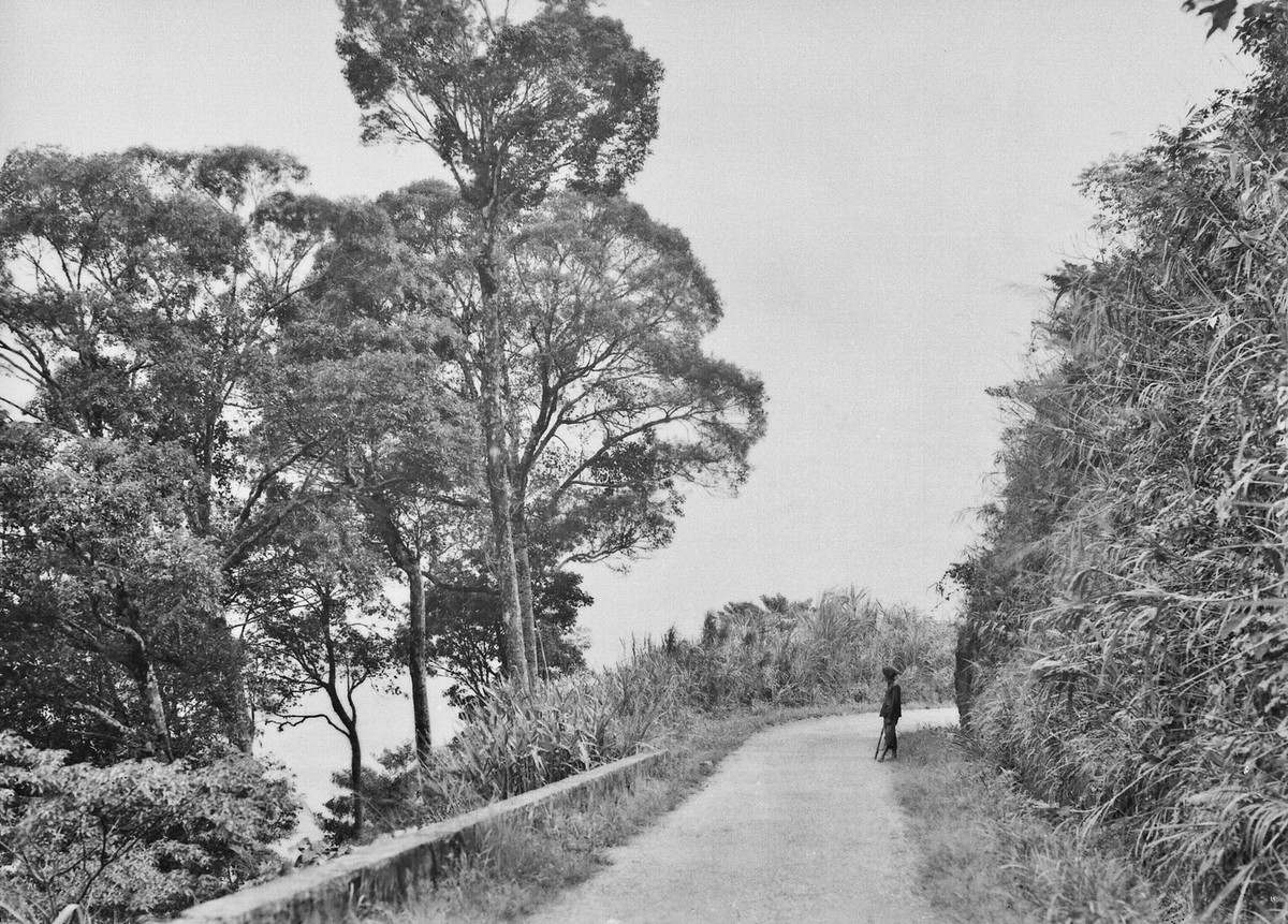 Con đường dẫn lên khu nghỉ mát Tam Đảo thập niên 1920.
