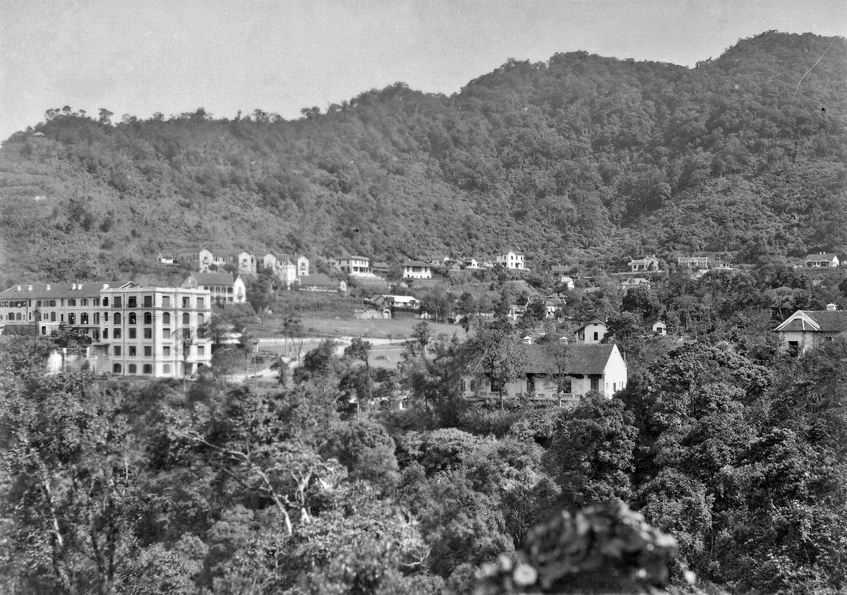 Quang cảnh tổng thể khu nghỉ mát Tam Đảo.