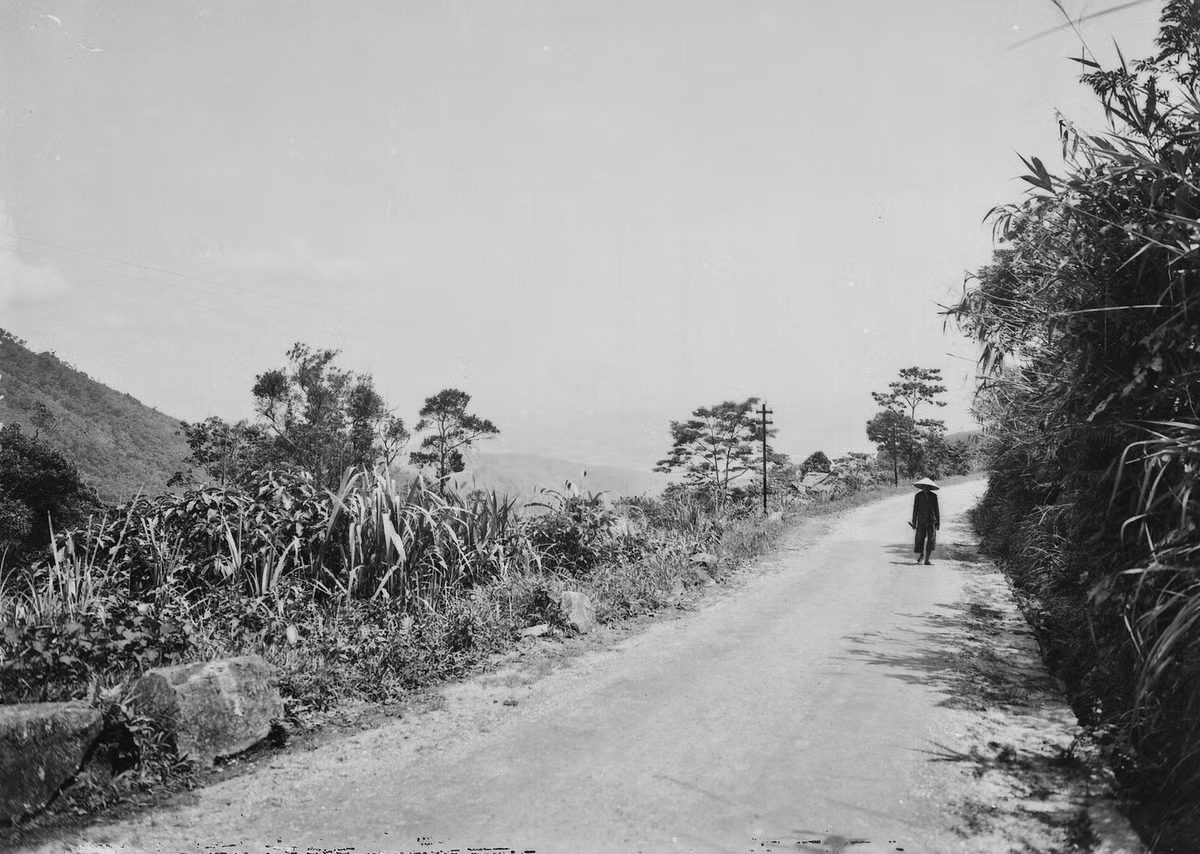 Con đường dẫn lên khu nghỉ mát Tam Đảo.