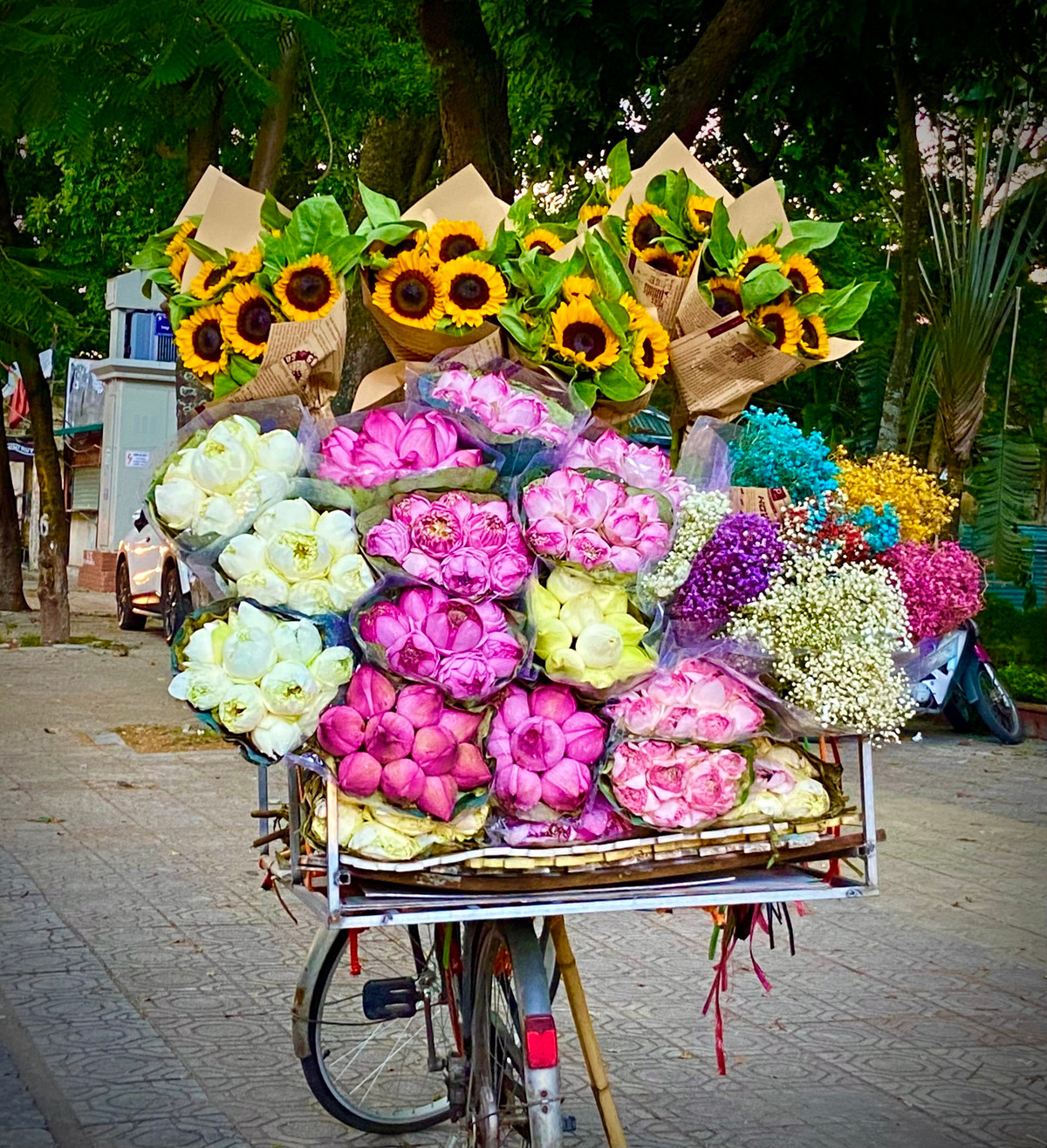 Xe hang hoa dep ngo ngang giua pho phuong Ha Noi-Hinh-8