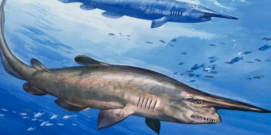 Diem ten 10 sinh vat kinh di nhat duoi day dai duong