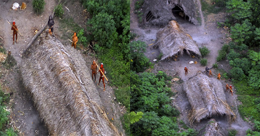 Phat hien bo toc nguyen thuy con sot lai tren trai dat