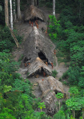 Phat hien bo toc nguyen thuy con sot lai tren trai dat-Hinh-3