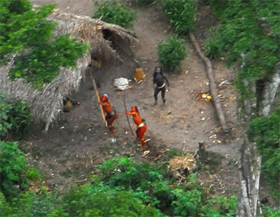 Phat hien bo toc nguyen thuy con sot lai tren trai dat-Hinh-2