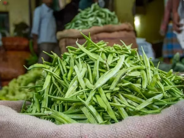 Loai rau ky dieu mang den nhieu loi ich cho suc khoe