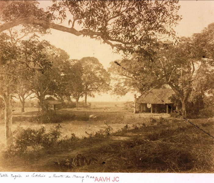 Đền hoặc chùa nhỏ và những cây vải bên đường ở Hưng Hóa.