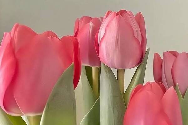 Troi cho loc lon: Nguoi sinh 5 ngay Am nay buon ban at boi thu