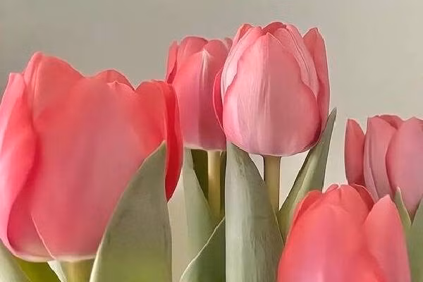 Troi cho loc lon: Nguoi sinh 5 ngay Am nay buon ban at boi thu