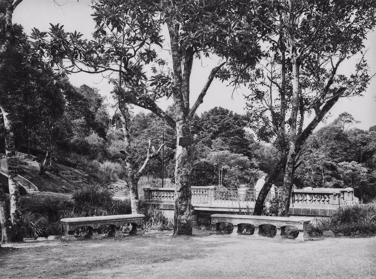 Cây cầu nhỏ bắc qua dòng suối trong khu nghỉ mát.