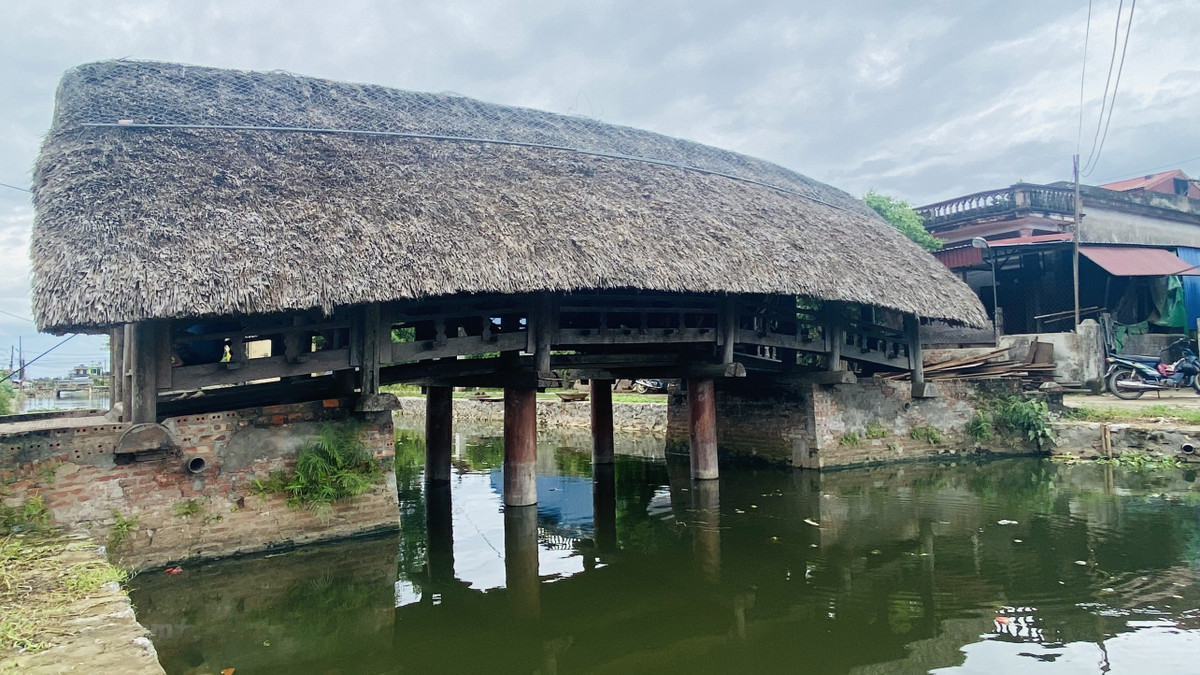 Ngam cay cau go mai lop la 700 tuoi doc dao nhat Viet Nam