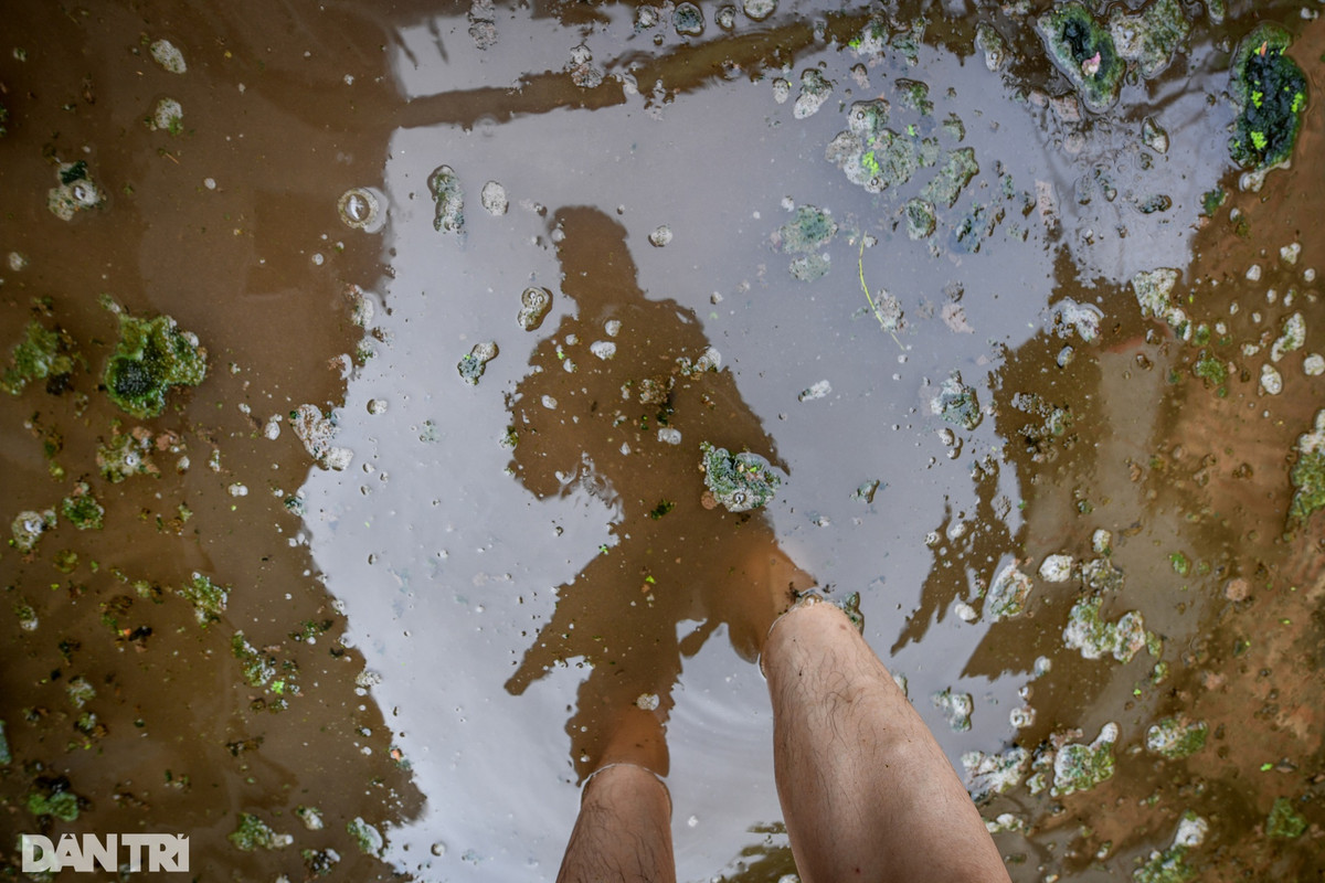 Những ngày nắng, nguồn nước thêm ô nhiễm khi xuất hiện nhiều "gạch cua" trôi trên mặt nước.