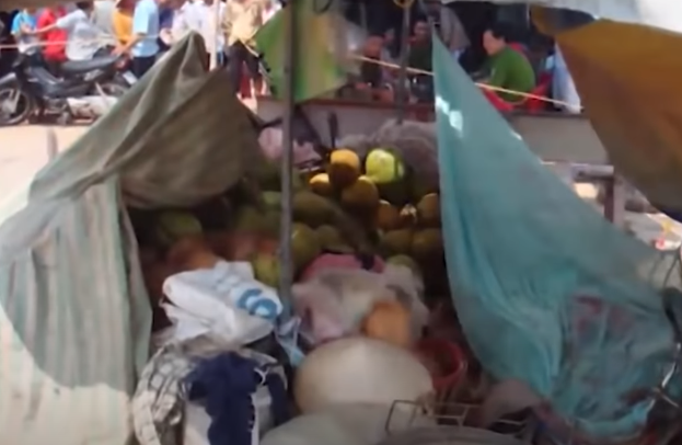 Bà Minh vốn là tiểu thương hành nghề buôn bán dừa tươi. Hàng ngày bà ngủ một mình tại trại dừa gần sát bờ kè chợ Đường Thét.