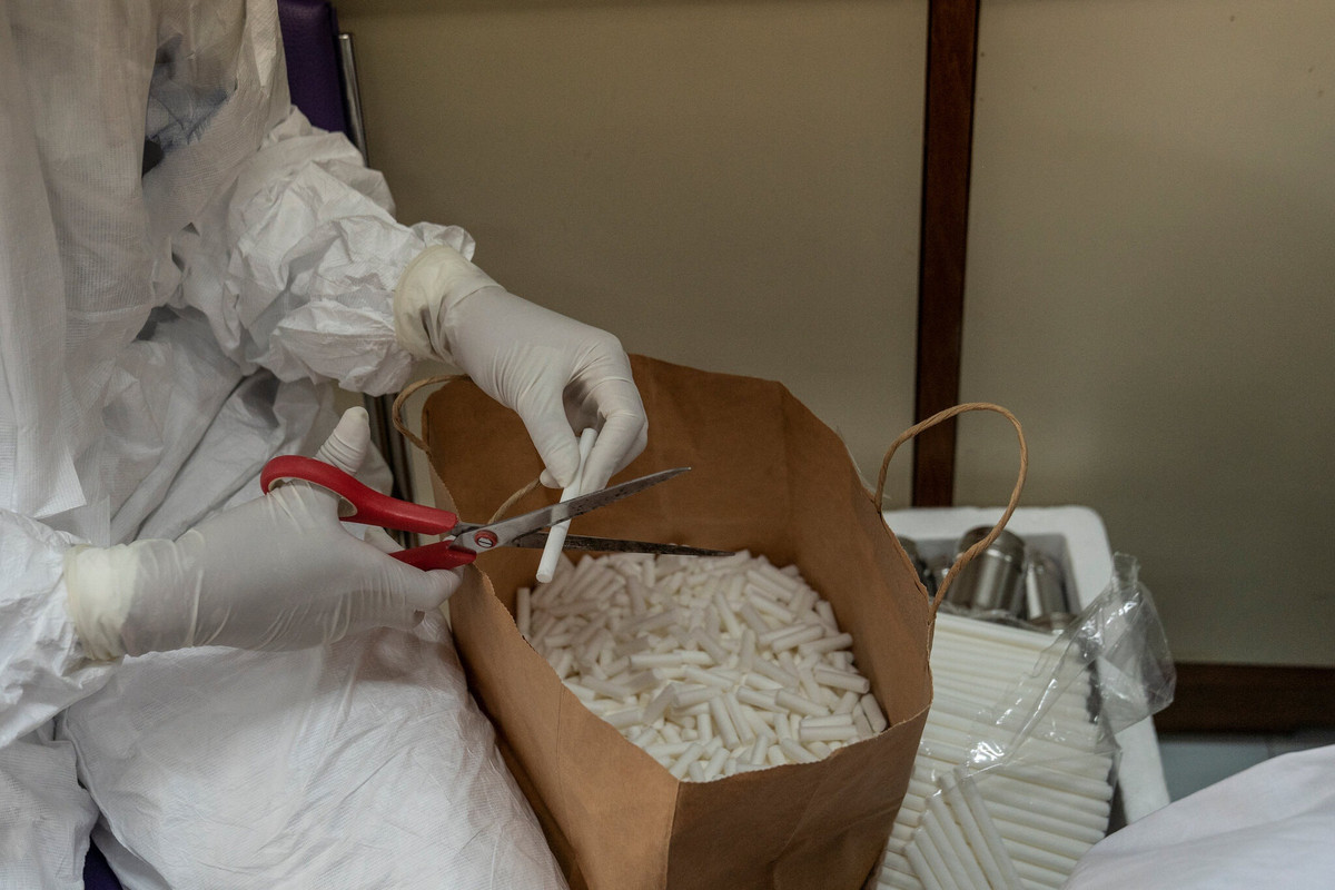 Nhân viên đang cắt tăm bông dùng để lấy mẫu. Với 300 triệu thụ thể khứu giác (con người có 6 triệu), loài chó có thể ghi nhớ khoảng 10 mẫu mùi đối với một hợp chất cụ thể. Ảnh: New York Times.