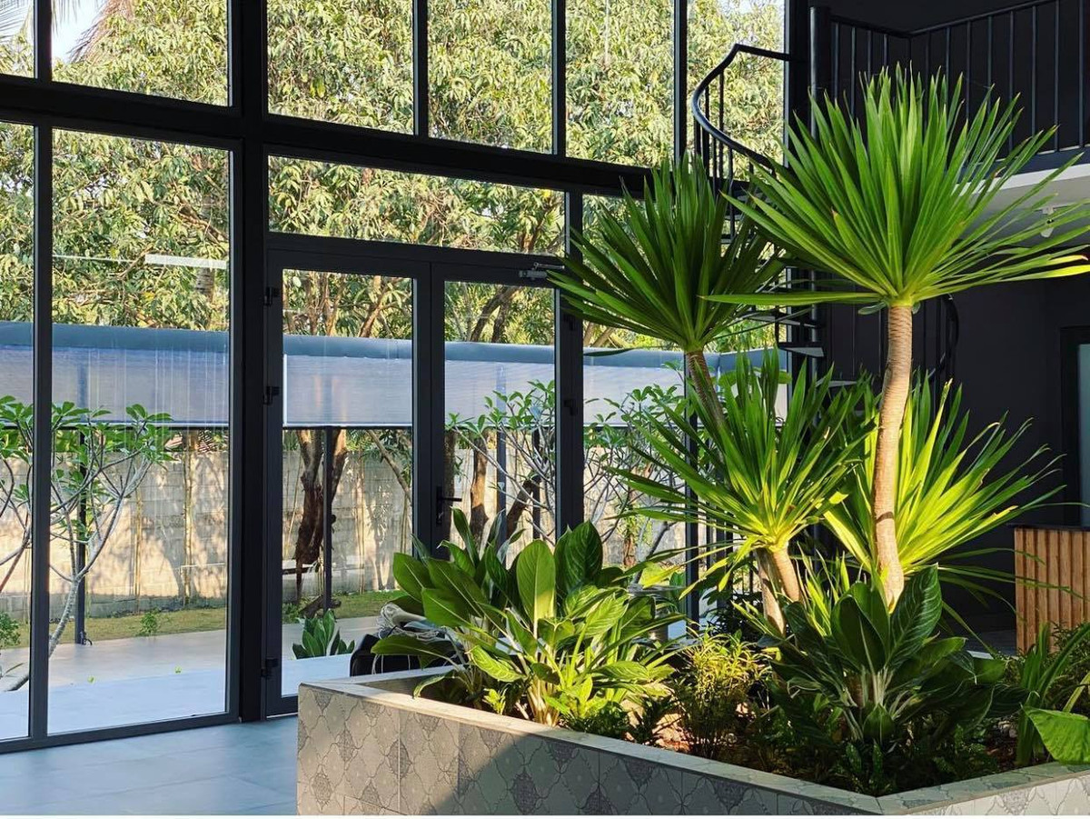 Biệt thự vườn dựng bằng sắt, trong nhà vẫn mát mẻ nhờ cây xanh ảnh 8