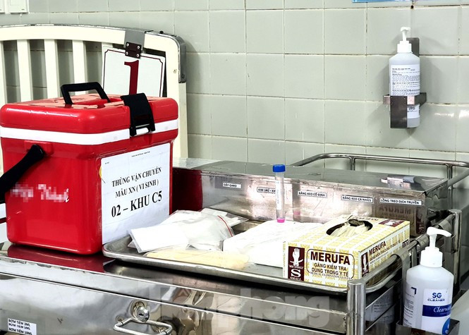 ##s###Các mẫu dịch mũi, họng được cho vào ống nghiệm đậy nắp, sau đó được quấn một lớp khăn giấy rồi cho vào túi zíp trước khi cho vào thùng kín để vận chuyển nhằm ngăn ngừa virus phát tán ra môi trường.