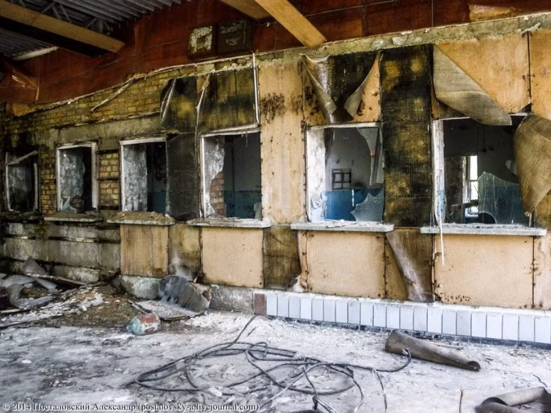 Tường trạm xe bus Pripyat phủ đầy rêu mốc.