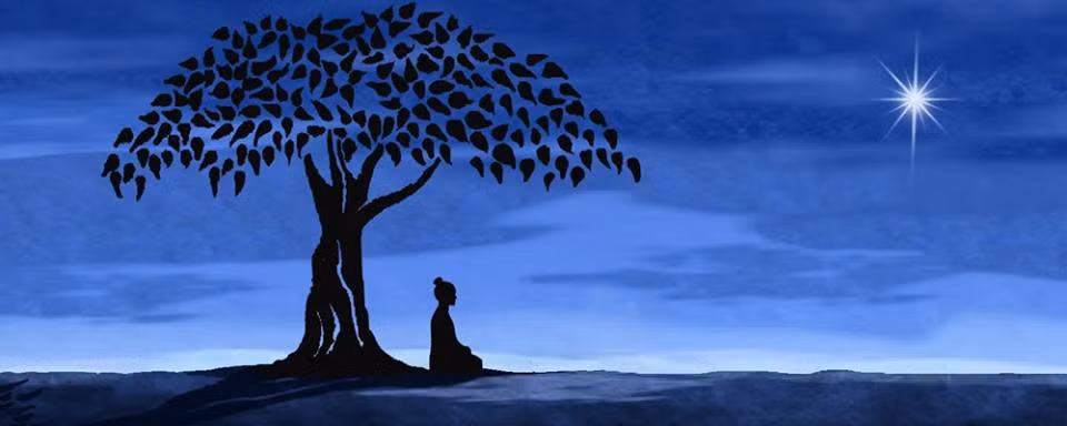 Cây Bồ đề có tên khoa học là Ficus religiosa. Theo các điển tích về Phật giáo, cây Bồ đề đã đóng một vai trò quan trọng trong cuộc đời của Đức Phật. Đức Phật đã ngồi thiền định dưới gốc cây bồ-đề và từng bước giác ngộ được các giáo lý của Phật giáo.