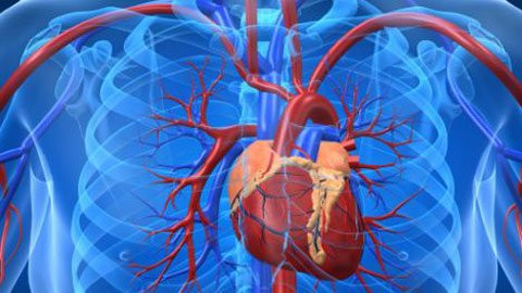 Đối với những trường hợp bệnh nhân có thân nhiệt cao sẽ xuất hiện tình trạng mê sảng, hôn mê và trụy tim cũng như có nguy cơ tử vong cao.