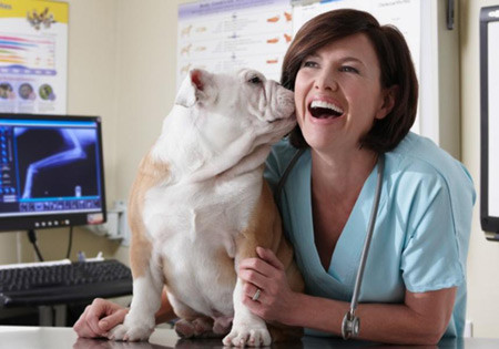 Về nghề nghiệp: Những người sinh ngày 24/8 thường khá hợp với công việc như nuôi, chăm sóc động vật hay bác sĩ thú y. Bạn cũng có tố chất của người làm chính trị, ngoại giao.