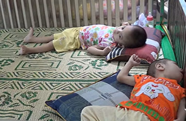 Do mới chuyển đến ngôi nhà mới nên một số em quậy phá đòi ra ngoài.