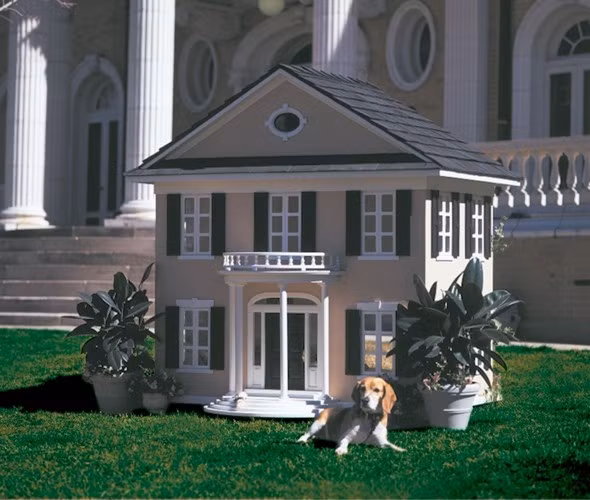 Chú chó cưng sử dụng dịch vụ đắt đỏ trên được một chiếc Limousine đưa đón và trải nghiệm các dịch vụ dành cho "thượng đế".