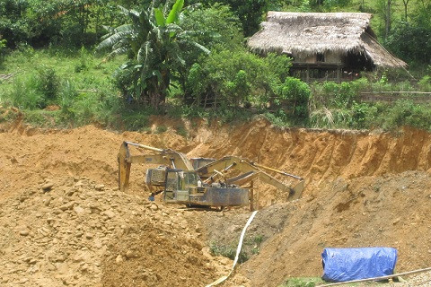 Hai chiếc máy múc đang hoạt động hết công suất, đào bới, lật tung tìm vàng.