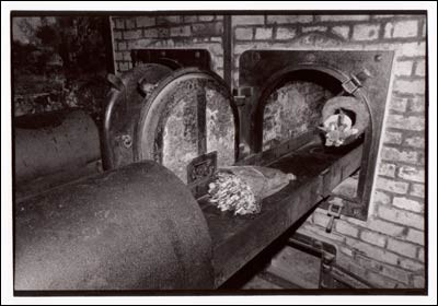 Trong tổng số khoảng 7.000 nhân viên làm việc tại trại tập trung Auschwitz có 170 cán bộ nữ. 750 người làm việc tại trại tử thần này đã bị truy tố và xét xử sau khi quân đồng minh đánh bại phe phát xít.