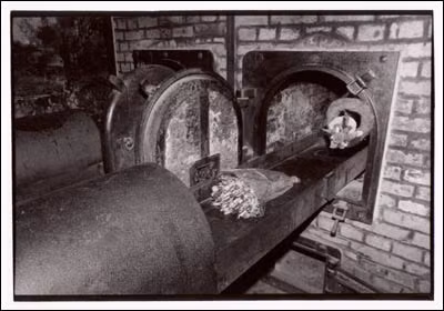 Trong tổng số khoảng 7.000 nhân viên làm việc tại trại tập trung Auschwitz có 170 cán bộ nữ. 750 người làm việc tại trại tử thần này đã bị truy tố và xét xử sau khi quân đồng minh đánh bại phe phát xít.