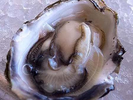 Hàu sống. Theo Asia One, Cơ quan lương thực và dược phẩm Hoa Kỳ đưa hàu sống vào trong danh sách những món ăn nguy hiểm. Nguy cơ khi ăn hàu sống là sốt, thương tổn da...