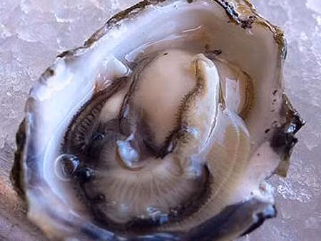 Hàu sống. Theo Asia One, Cơ quan lương thực và dược phẩm Hoa Kỳ đưa hàu sống vào trong danh sách những món ăn nguy hiểm. Nguy cơ khi ăn hàu sống là sốt, thương tổn da...