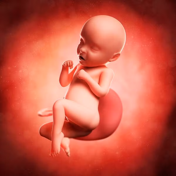 Trẻ chậm phát triển trong bào thai.