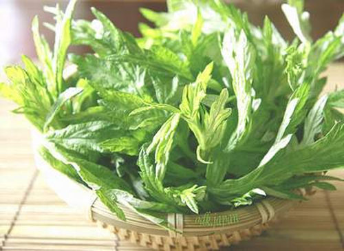 Tinh dầu cây ngải đắng (ngải cứu). Tinh dầu cây ngải đắng thường được chưng cất từ lá của cây ngải đắng (ngải cứu) lâu năm. Đây là một chất khử trùng, một loại kháng sinh và là nguồn chất chống oxy hóa tự nhiên và hiệu quả. Vì thế, khi bị sẹo, bạn có thể sử dụng tinh dầu cây ngải đắng để sữa chữa tình trạng xấu xí của các vết sẹo nhé, đặc biệt là với những vết sẹo cũ hoặc các vết sẹo quá khó coi.