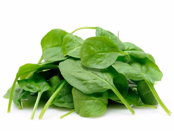 Rau lá xanh. Rau bina, rau cải xoăn hay nhiều loại rau lá xanh đậm khác chứa nhiều chất xơ giúp tiêu hóa mỡ bụng hiệu quả, đồng thời nó cũng giúp cải thiện tính đa dạng của những vi khuẩn đường ruột tốt.