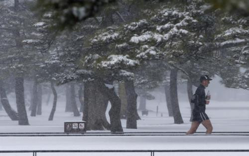 Bão tuyết đổ bộ vào đúng đêm trước hôm diễn ra cuộc bầu cử thống đốc Tokyo. Các nhà quan sát nhận định, tuyết rơi nặng hạt sẽ gây khó khăn cho 13 triệu dân của thành phố này đi bỏ phiếu.