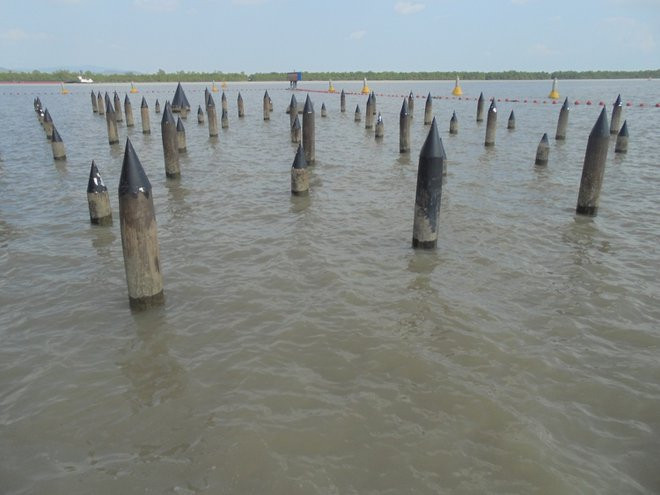 Theo một số tài liệu, người được cho là nghĩ ra kế cắm cọc xuống đáy sông giúp Ngô Vương là Kiều Công Hãn. Ông là con của Kiều Công Chuẩn, anh trai sứ quân Kiều Thuận. Năm 937, Kiều Công Tiễn giết Dương Đình Nghệ để chiếm quyền, Kiều Công Hãn không theo ông nội mà mang quân vào châu Ái theo Ngô Quyền.