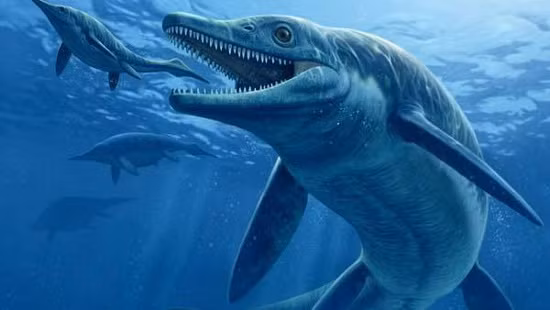 Loài động vật ăn thịt kích thước lớn này có chiều dài khoảng 8,6m, sở hữu một hộp sọ lớn và hàm răng to, sắc cạnh để bắt và cắt con mồi. Trên thực tế, nó có thể tấn công cả những con mồi lớn bằng hoặc lớn hơn nó.